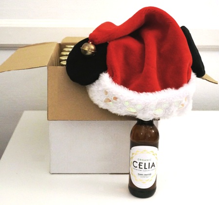 CELIA Christmas Advent