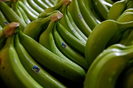 Fairtrade Bananas