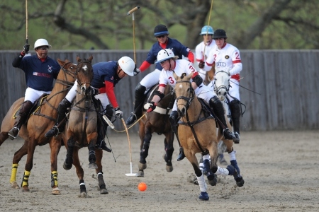 Polo Test Match at Hickstead