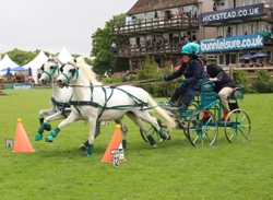 Hickstead Scurry