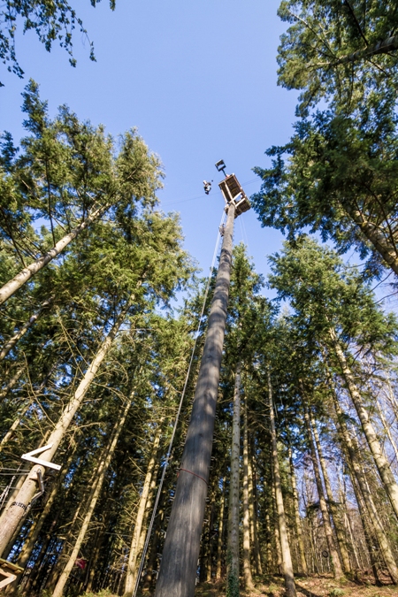 Tree Top Adventure Snowdonia