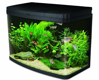 Interpet Aquarium