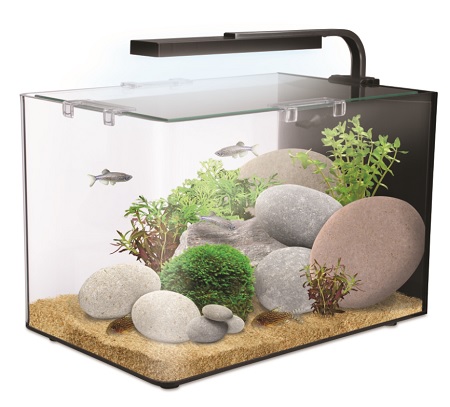 Nano Aquarium