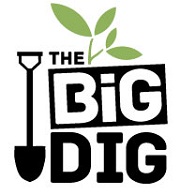 Big Dig Logo