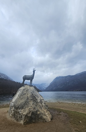 Lake Bohinj