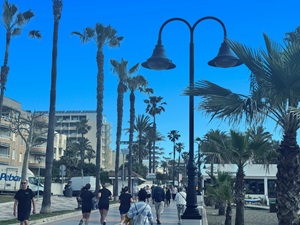 La Carihuela Promenade - Debbie North