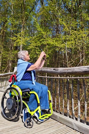 Debbie North - Bridge at Eifel