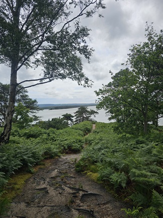 Brownsea Island